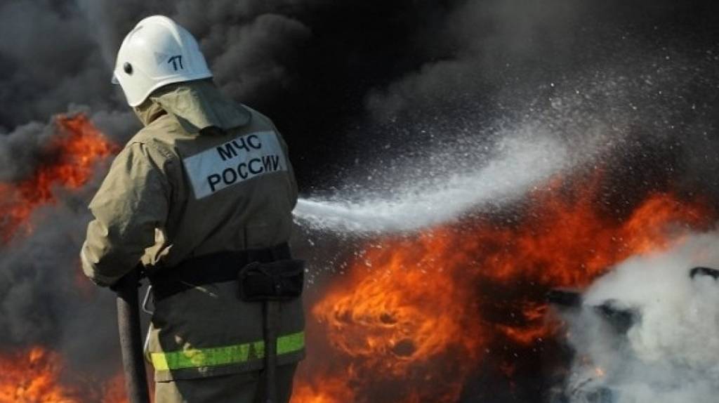 В Брянской области за неделю произошло 56 пожаров