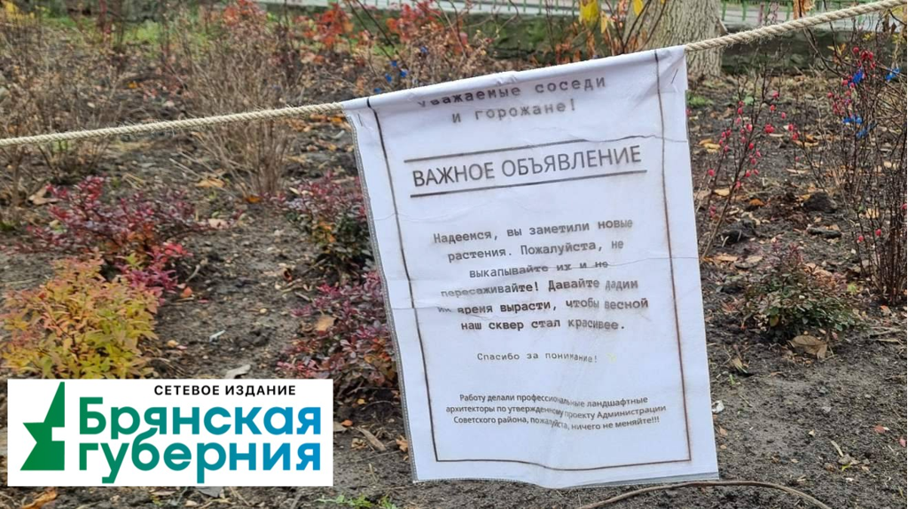 В Брянске заметили подобие благоустройства в сквере имени Анастасии Вяльцевой