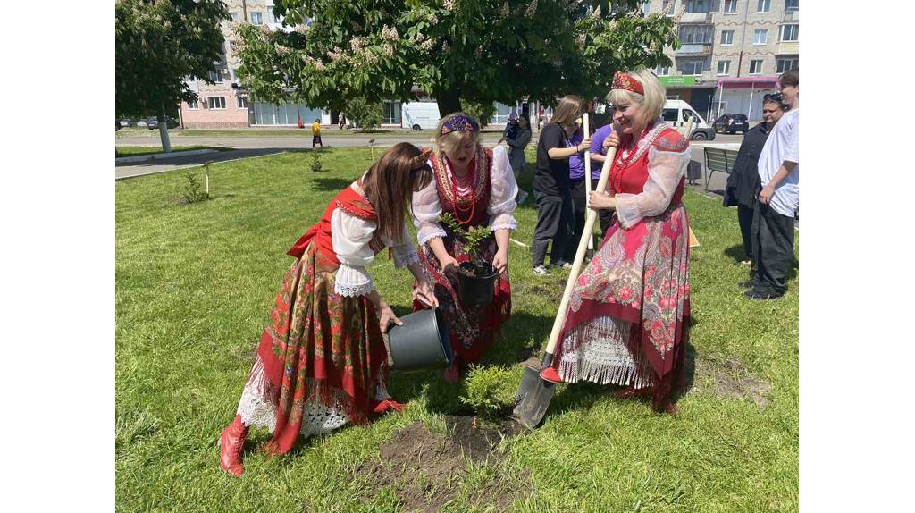 В Брянске высадили около 50 деревьев и кустарников вокруг Дворца культуры имени Кравцова