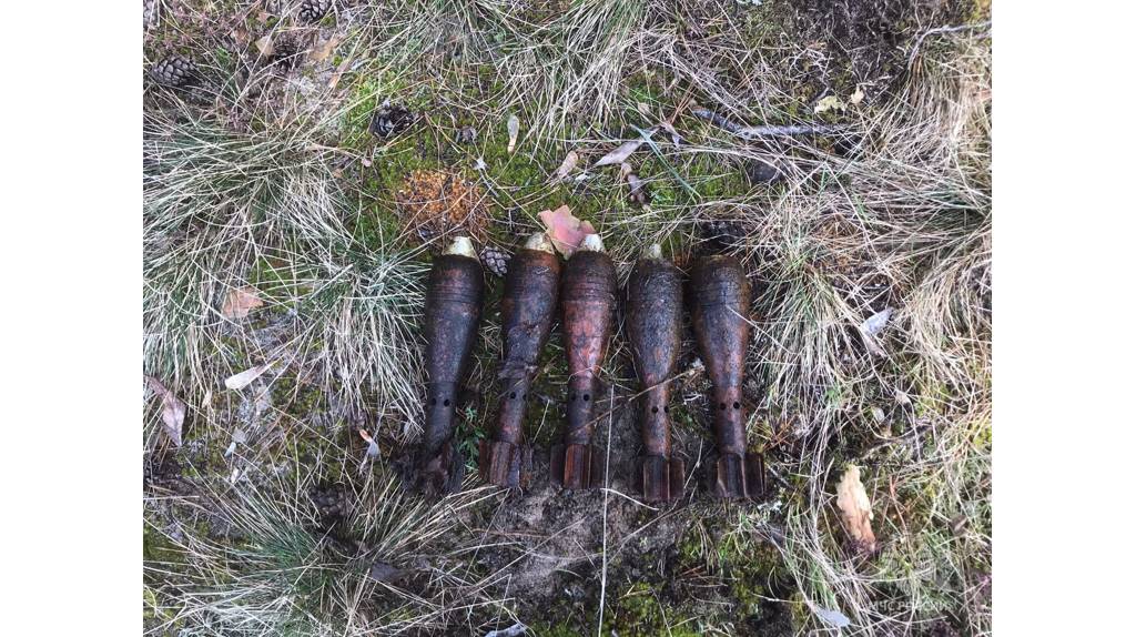 Брянские саперы обезвредили пять мин в Погарском районе