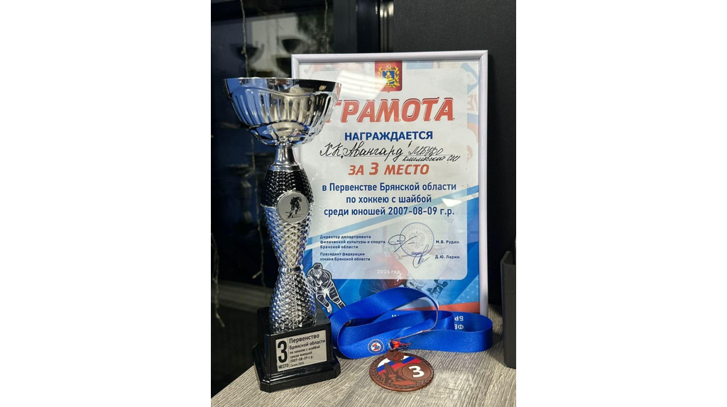 В Жуковке состоялось первенство Брянской области по хоккею
