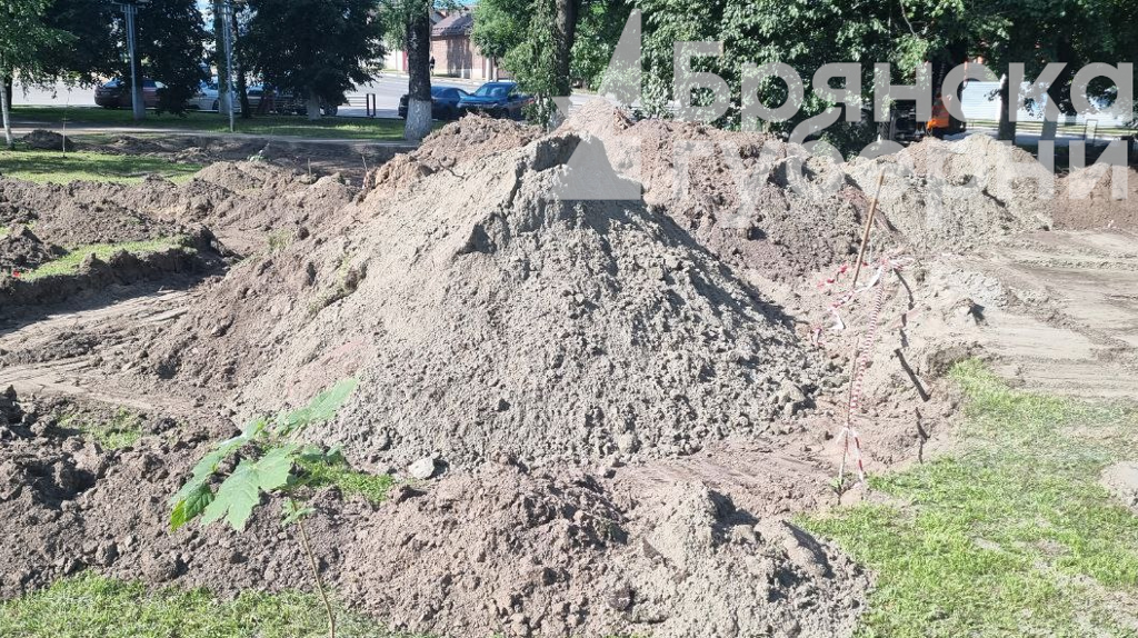 В роще Лесные сараи в Брянске готовят площадку под памятник пограничникам