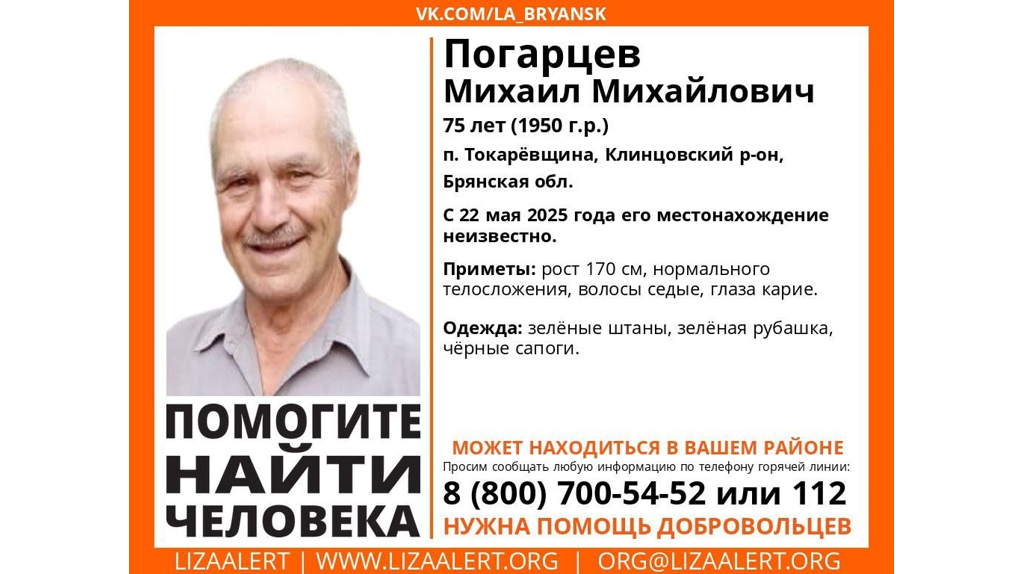 В Брянской области ищут без вести пропавшего 75-летнего Михаила Погарцева