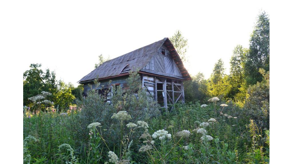 Грабли – в помощь: брянцам рассказали, как не лишиться дачи