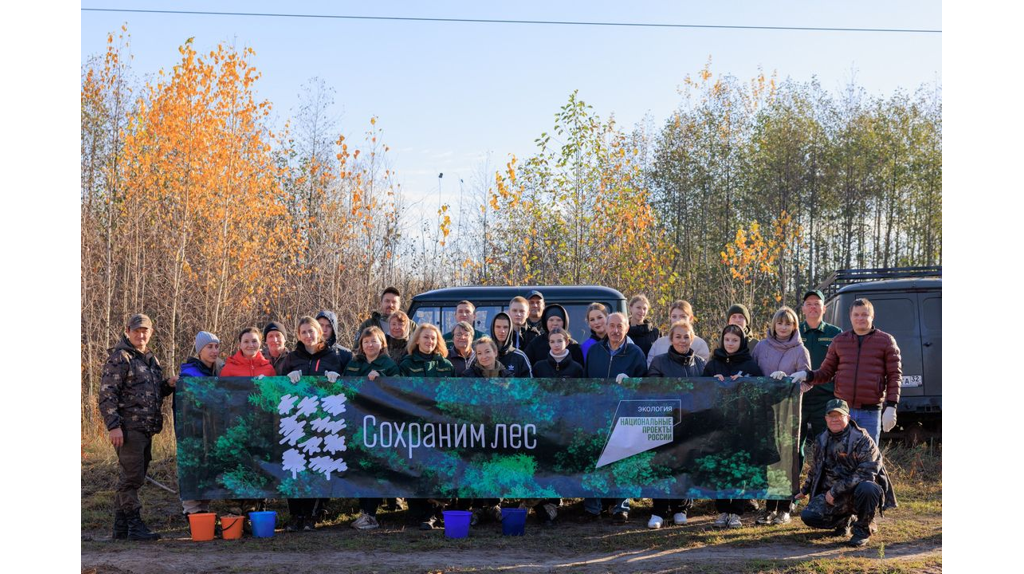 Под Брянском в питомнике посеяли желуди дуба в рамках акции «Сохраним лес»