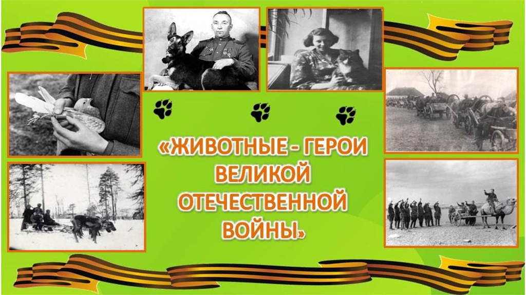  Брянский музей расскажет о животных-героях войны  