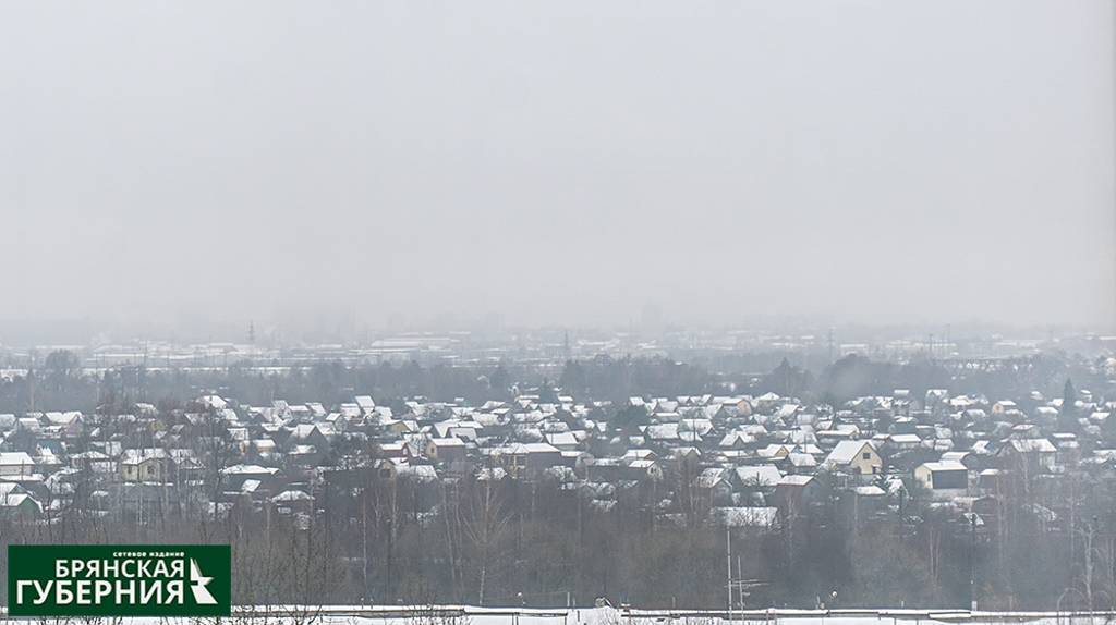 В Брянской области 28 января ожидается +1 и небольшой снег