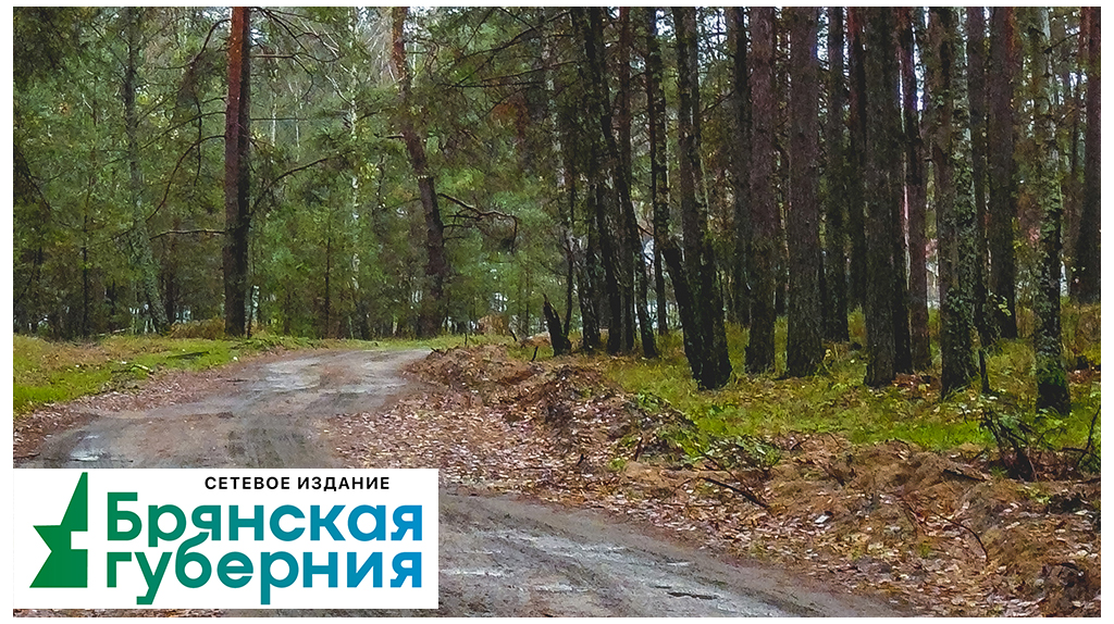 За сутки на Брянщине обошлось без природных пожаров