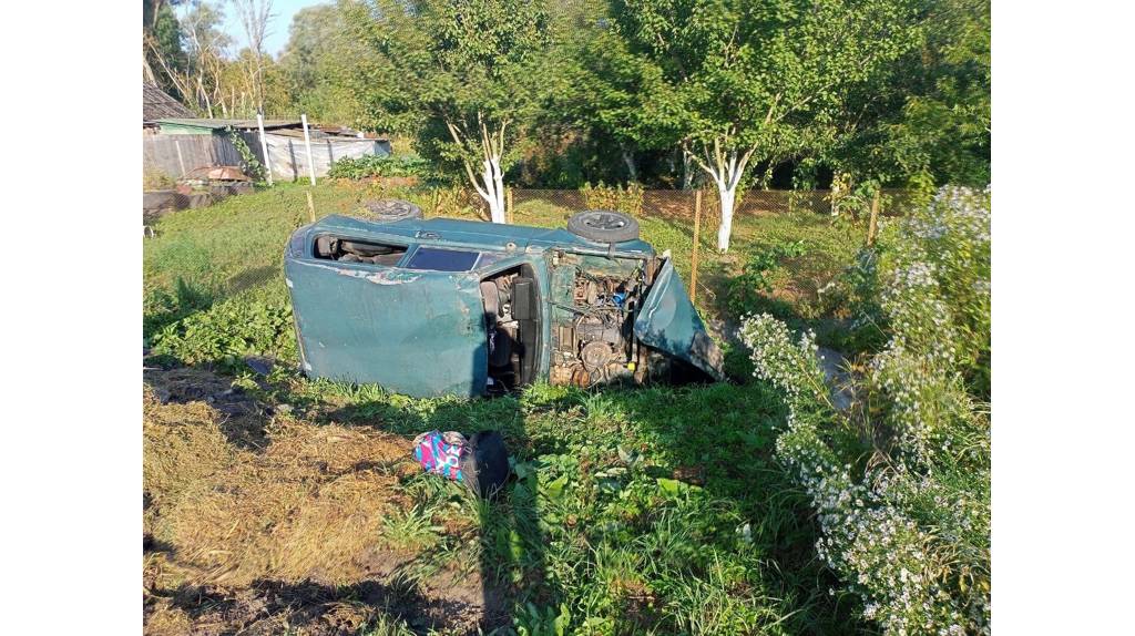 В Выгоничах в перевернувшейся «Ниве» пострадали двое маленьких детей