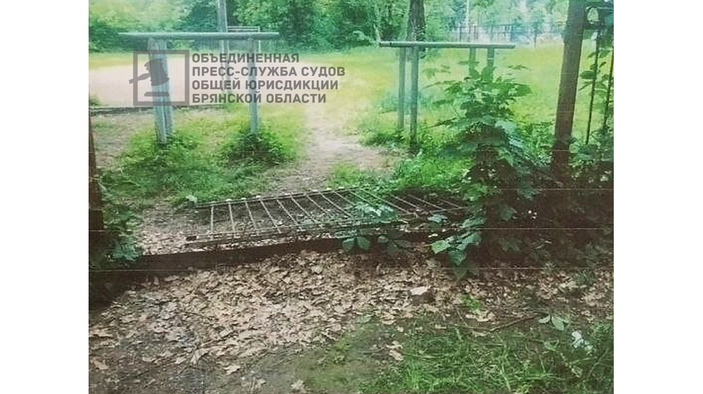 Брянский суд не пощадил экс-директора парка Пушкина за халатность