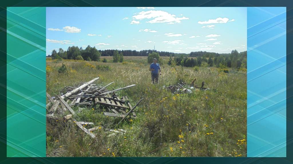 В 2023 году в Брянской области на сельхозземлях обнаружили 37 свалок