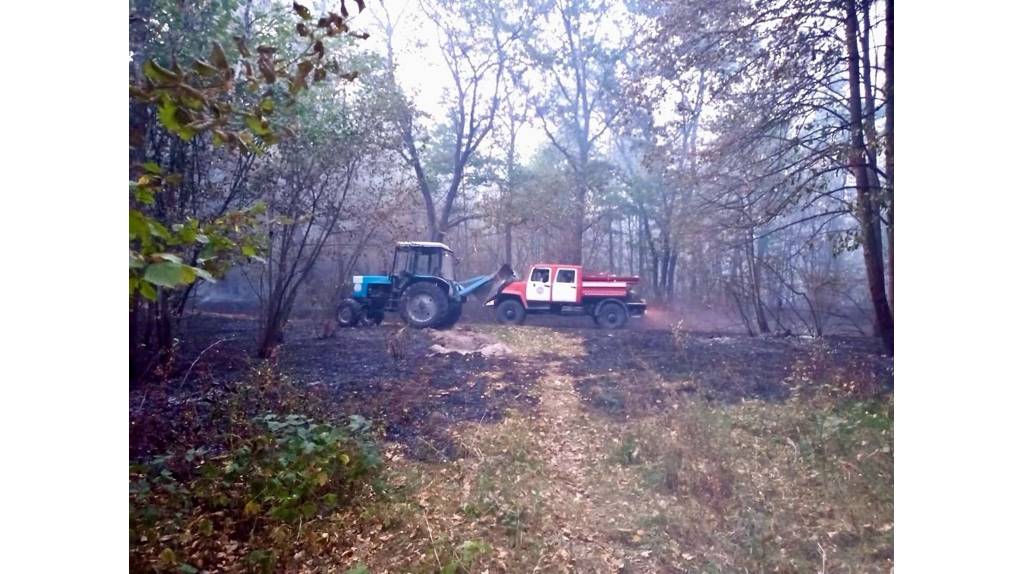 В Брянской области установился наивысший класс пожарной опасности