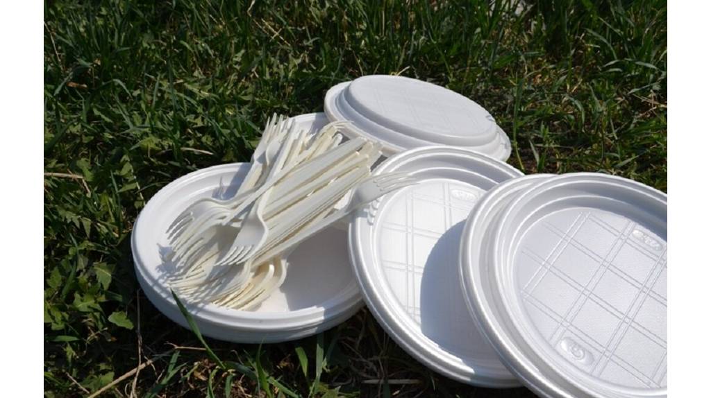От пластиковой посуды готовы отказаться 84% брянцев