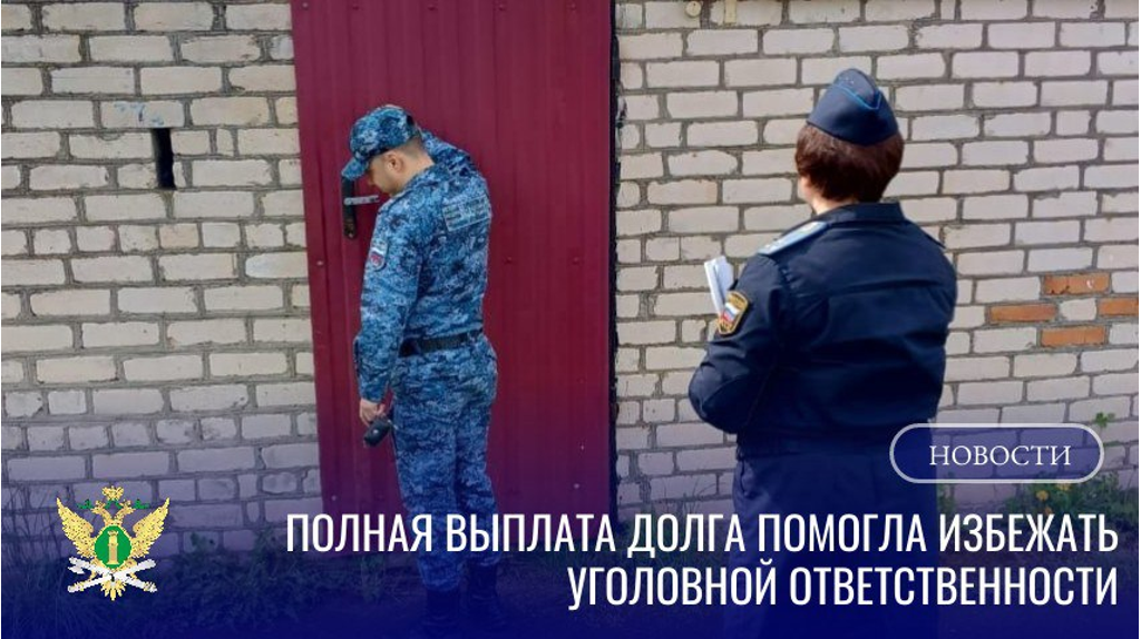 Брянский алиментщик выплатил долг в 1,3 млн рублей и избежал уголовного наказания