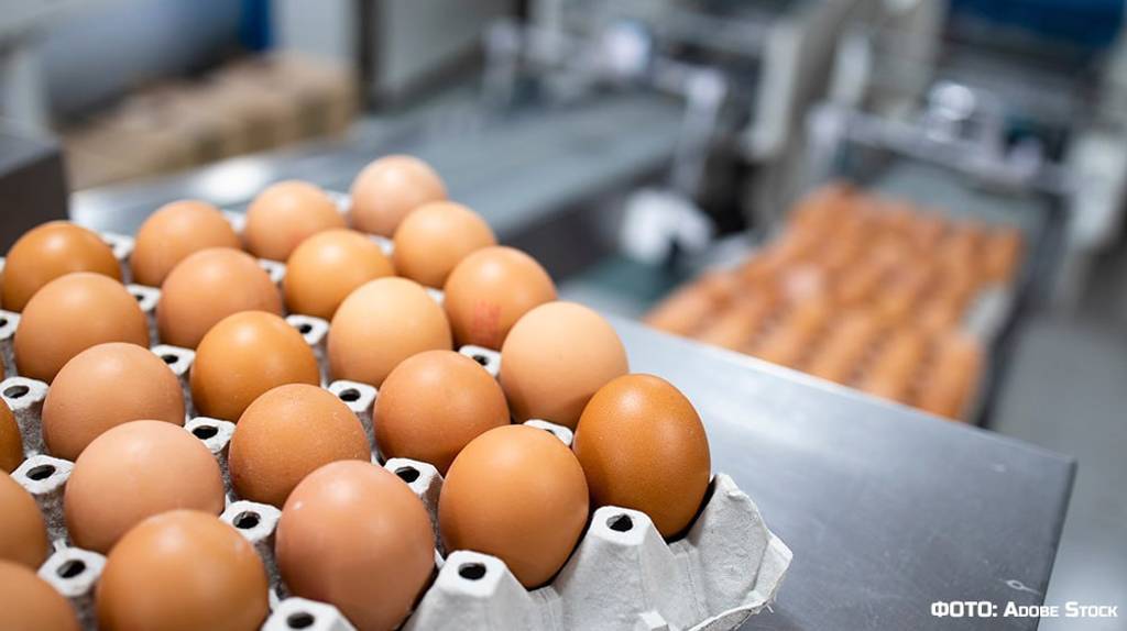 В Брянской области дефицита яиц на Пасху не будет