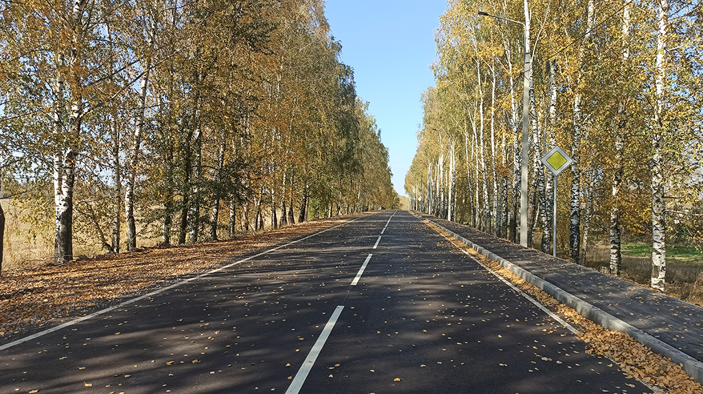 В Выгоничском районе обновили участок дороги «Брянск-Новозыбков»-Кокино-Скуратово