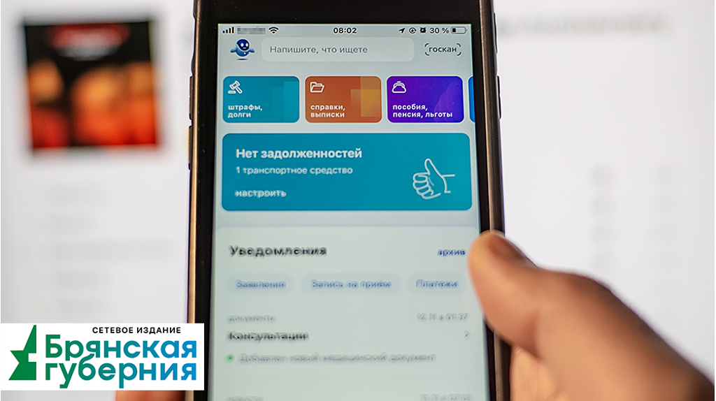 В полиции рассказали, как мошенники выманивают пароль от «Госуслуг»