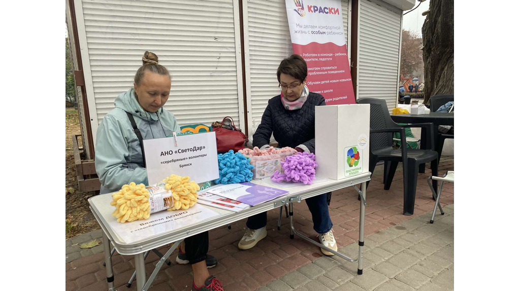 В Брянске в Круглом сквере работает фестиваль добра