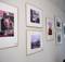В Брянском облсуде открылась выставка фоторабот «Жизнь в объективе»