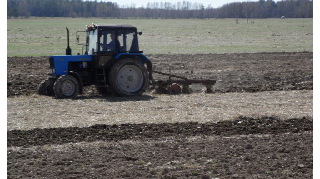 В Брянской области завершается сев озимых