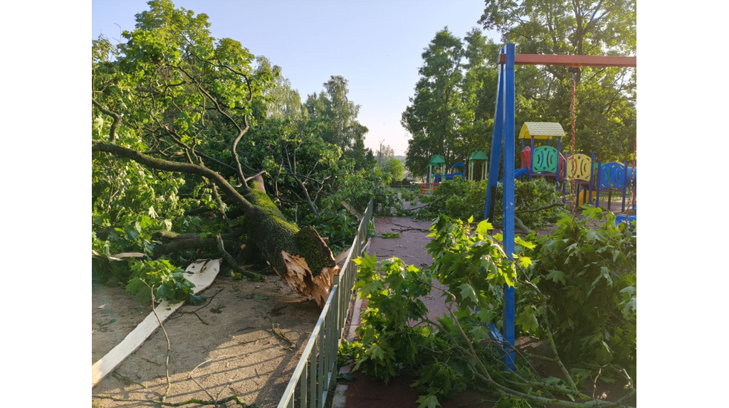 Брянский поселок Климово приходит в себя после кошмарного урагана