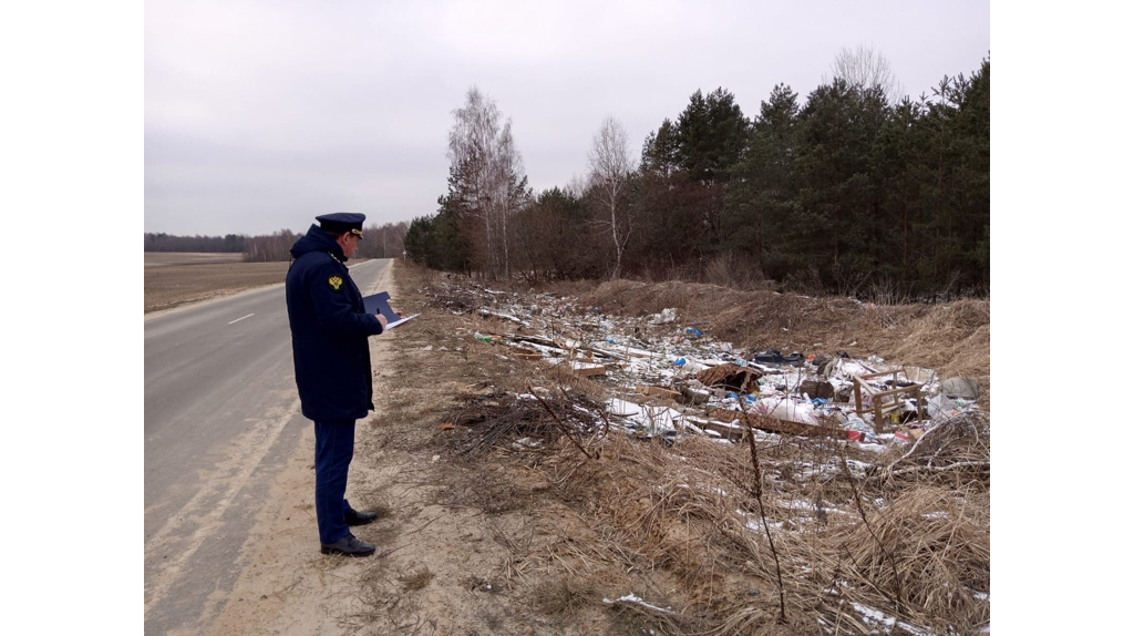 Клинцовских дорожников обязали убрать свалку на обочине дороги