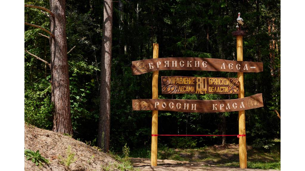 В Брянском районе установили панно «Брянские леса – России краса»