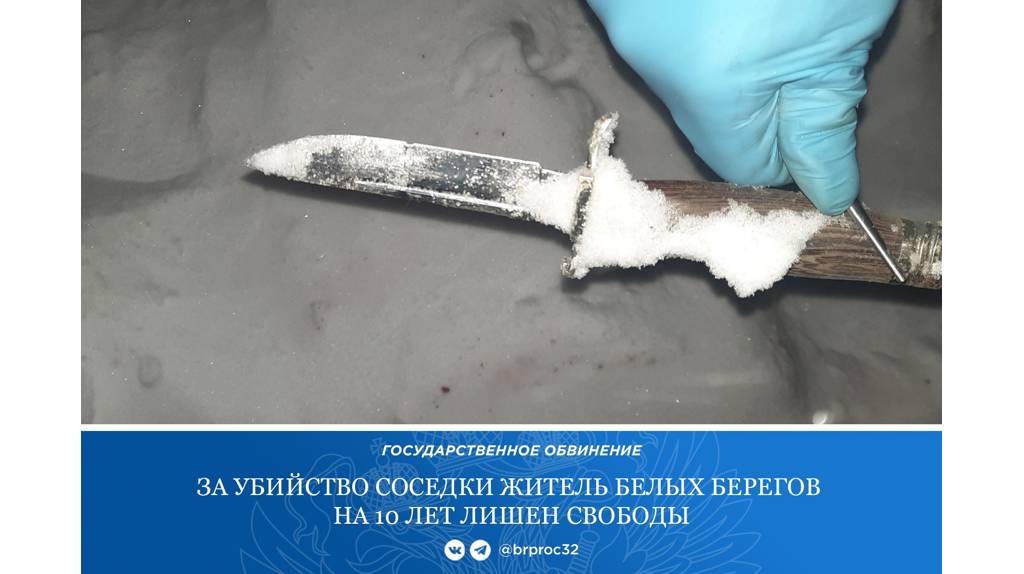 Брянец получил десять лет строгача за жестокое убийство знакомой