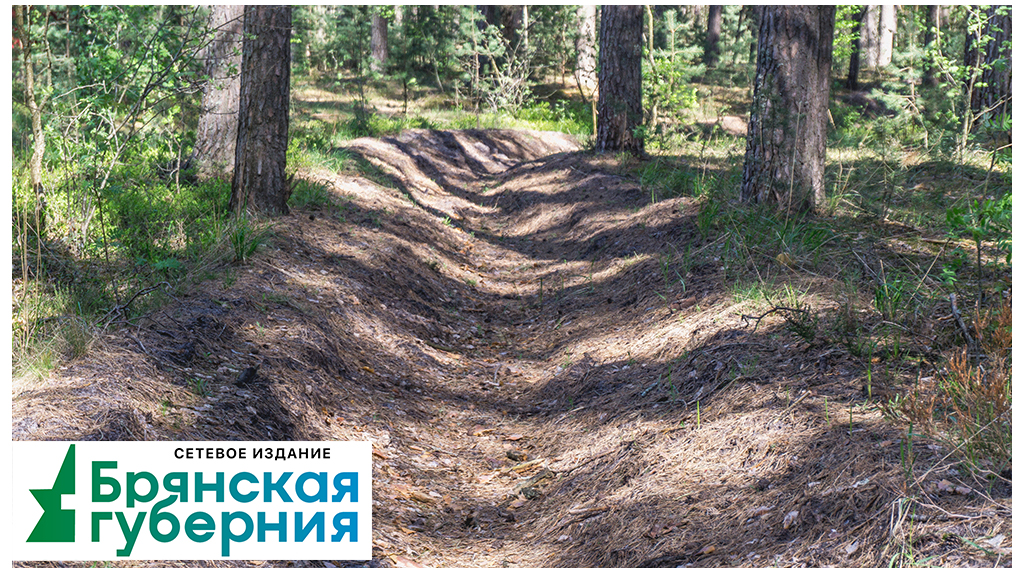Вдова погибшего при тушении леса работника лесопожарной службы добилась компенсации