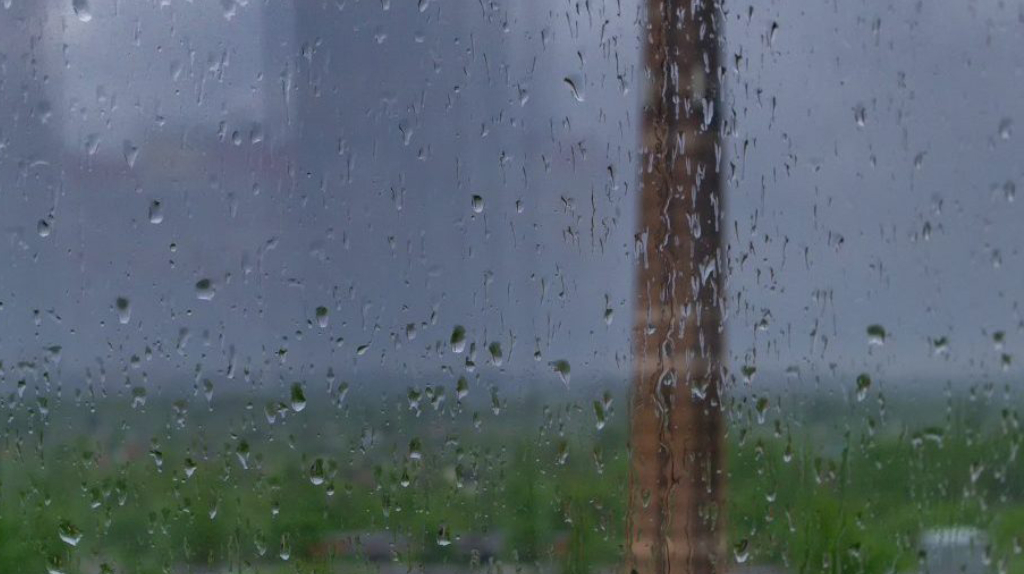 Брянцам пообещали дожди с грозами 9 августа