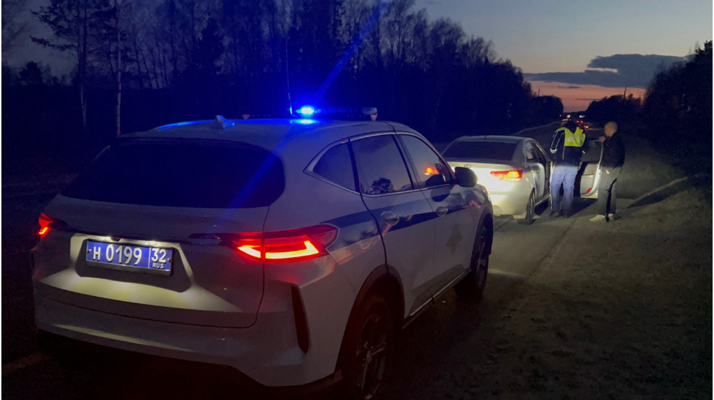 В Брянской области за шесть месяцев автоинспекторы поймали 1520 пьяных водителей