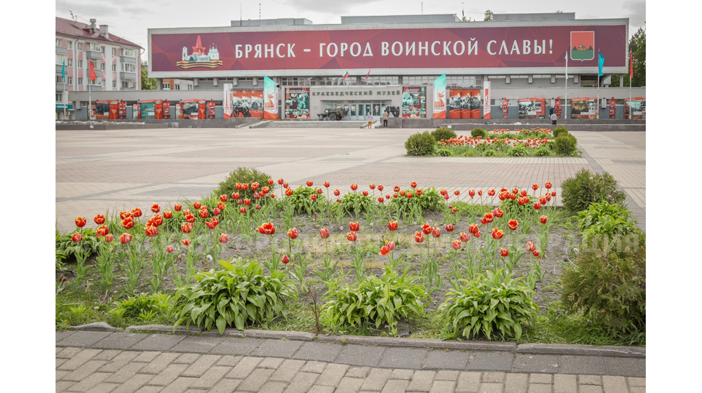 Вместо тюльпанов на площади Партизан в Брянске посадят бархатцы и петуньи