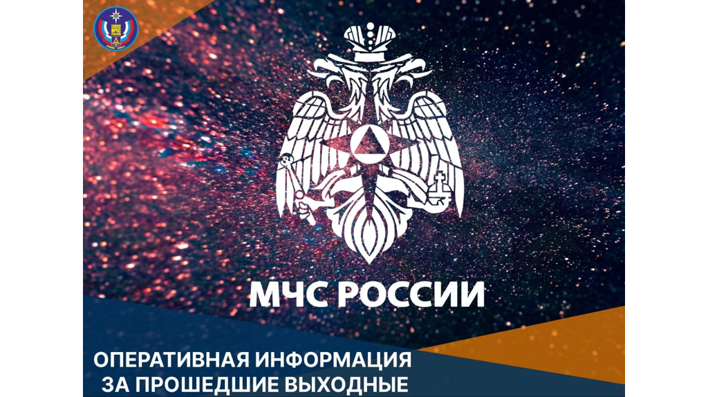 МЧС: в Брянской области за выходные потушили 30 пожаров