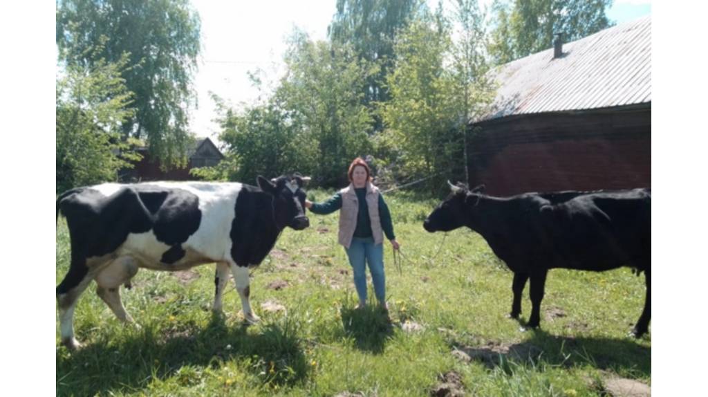 Многодетной брянской семье из Творишино соцконтракт помог начать свой агробизнес