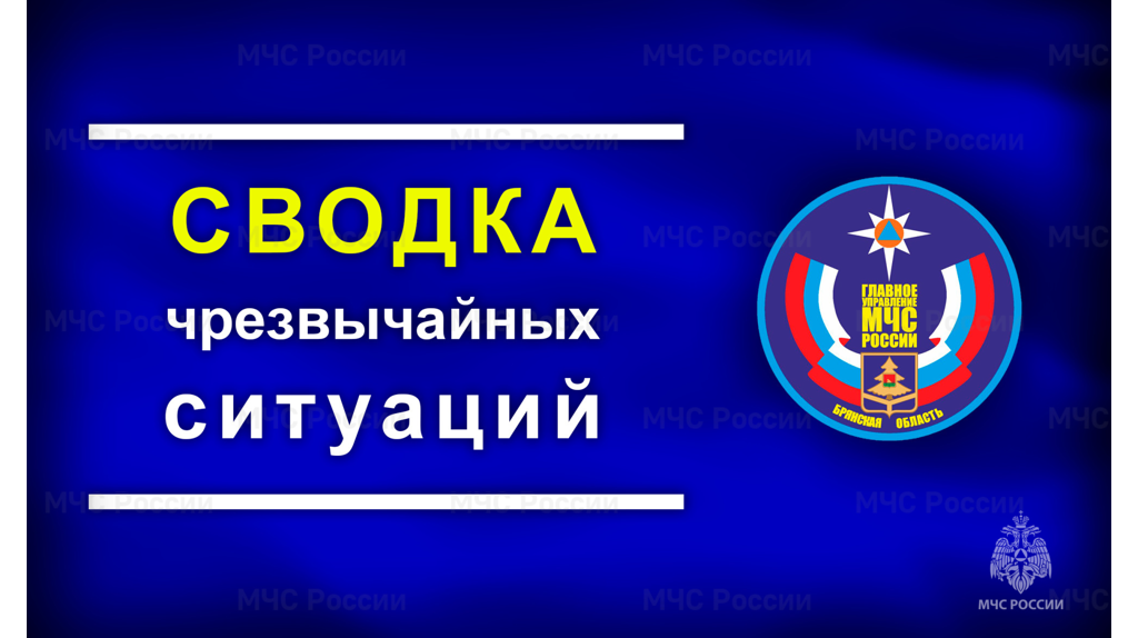 Режим ЧС действует в восьми муниципалитетах Брянской области
