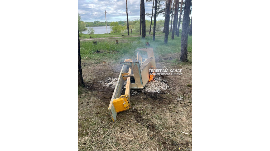 В Брянске сфотографировали помойку на Орлике после праздника