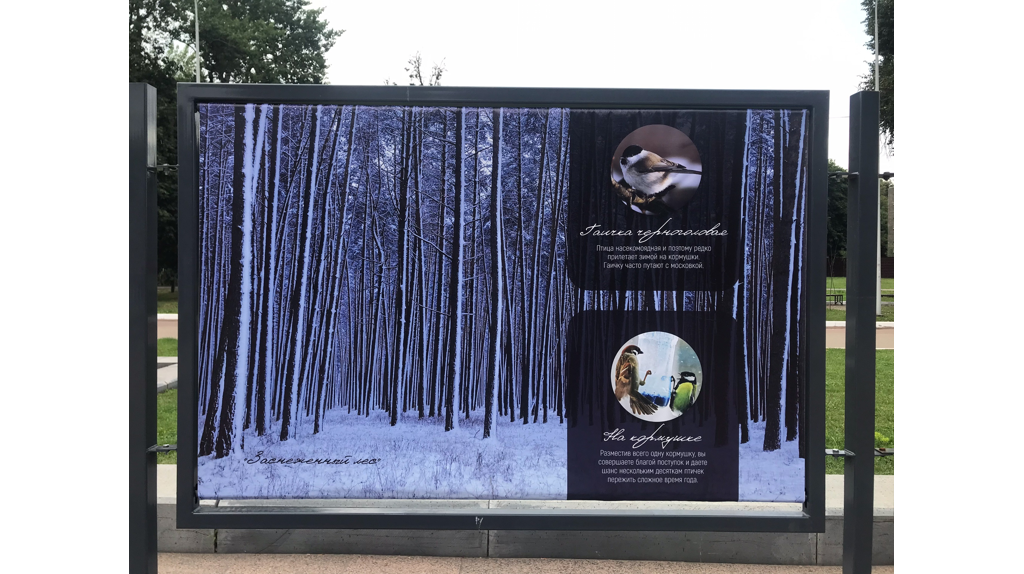 В Брянске на Кургане Бессмертия открылась фотовыставка «Край ты мой, родимый край!»