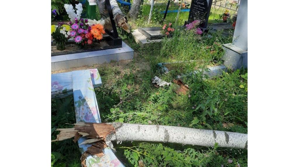 В Клинцах рухнувшее дерево повредило надгробия на кладбище