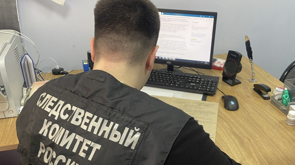 В Выгоничах частного юриста осудили за аферу с земельными участками