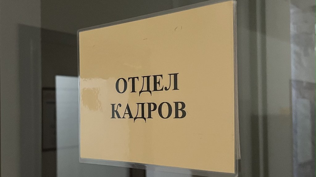 Большинство брянцев не готовы к собеседованию с ИИ при трудоустройстве
