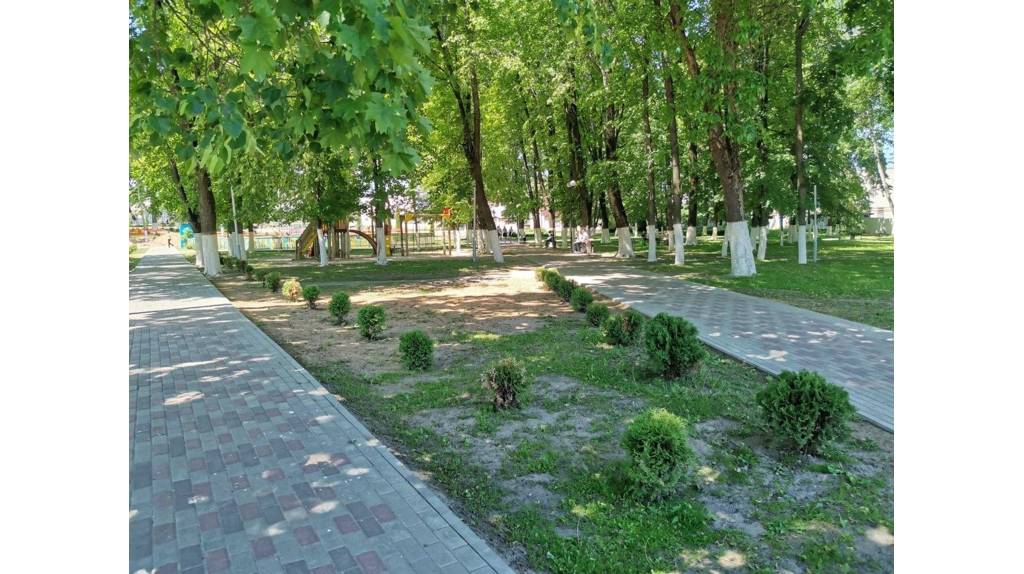Губернатор Александр Богомаз оценил ход благоустройства городского парка в Сураже