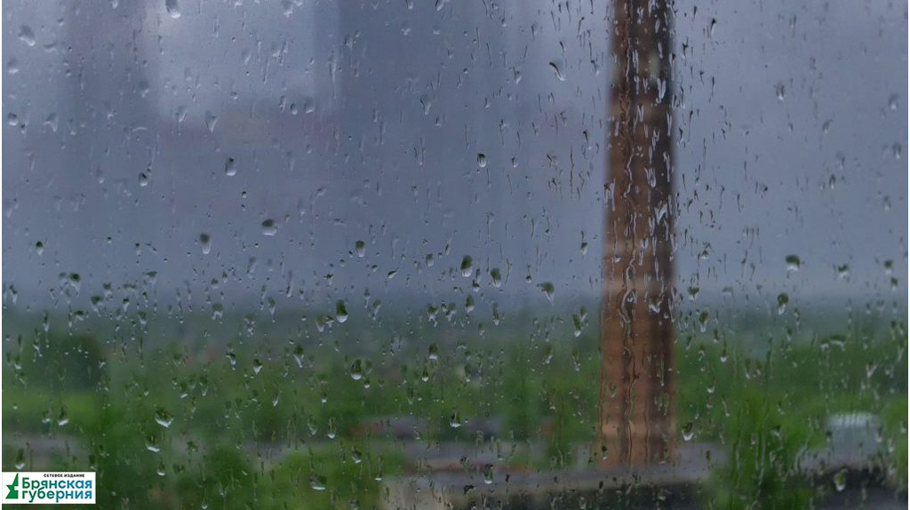 Брянцам 4 мая обещают дожди с грозами при +20ºC