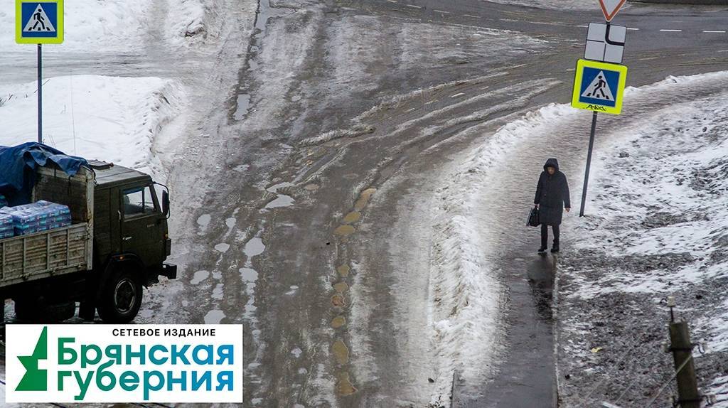 МЧС предупредило брянцев о снеге с дождем и гололедице 18 февраля