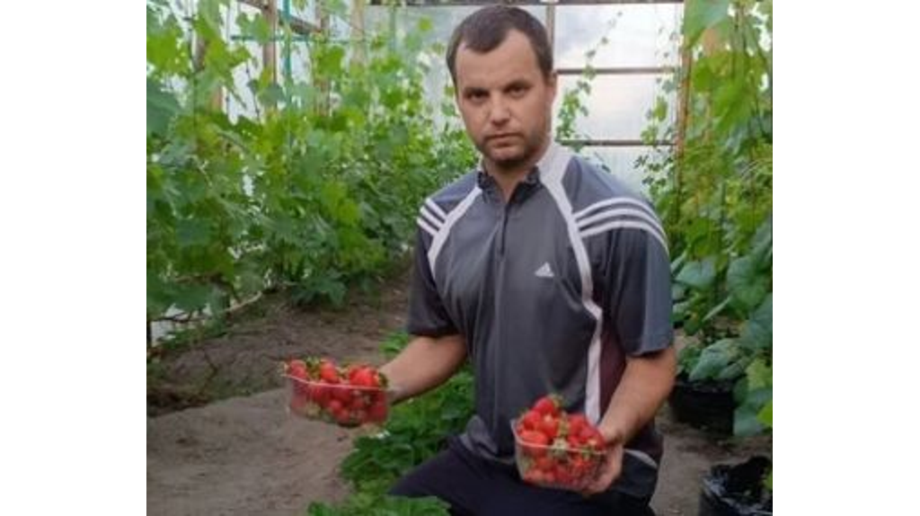 Житель Климовского района поделился секретом высокого урожая клубники