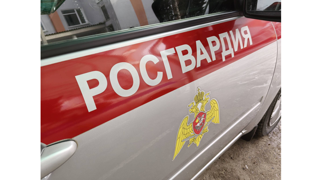 За неделю брянцы вызывали росквардейцев больше 280 раз