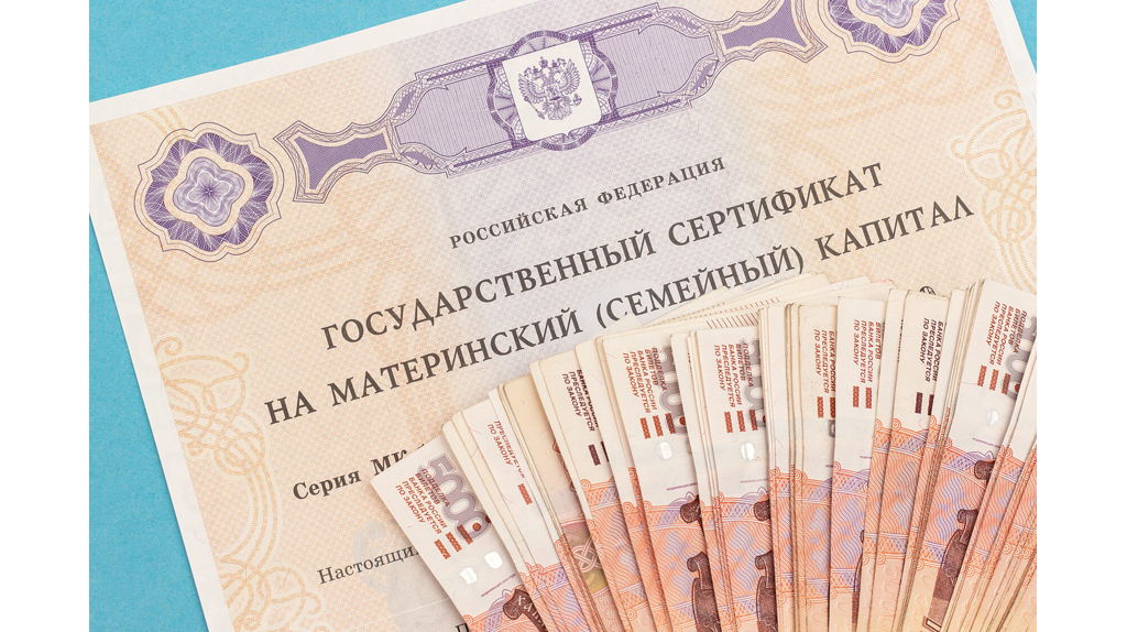 Подарок для мам: для брянских семей с детьми могут назначить ежегодную выплату