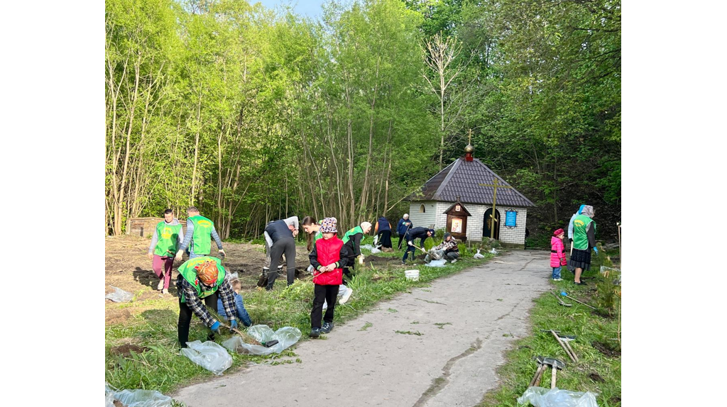 В Сельцо добровольцы высадили саженцы берез и сосен у святого источника
