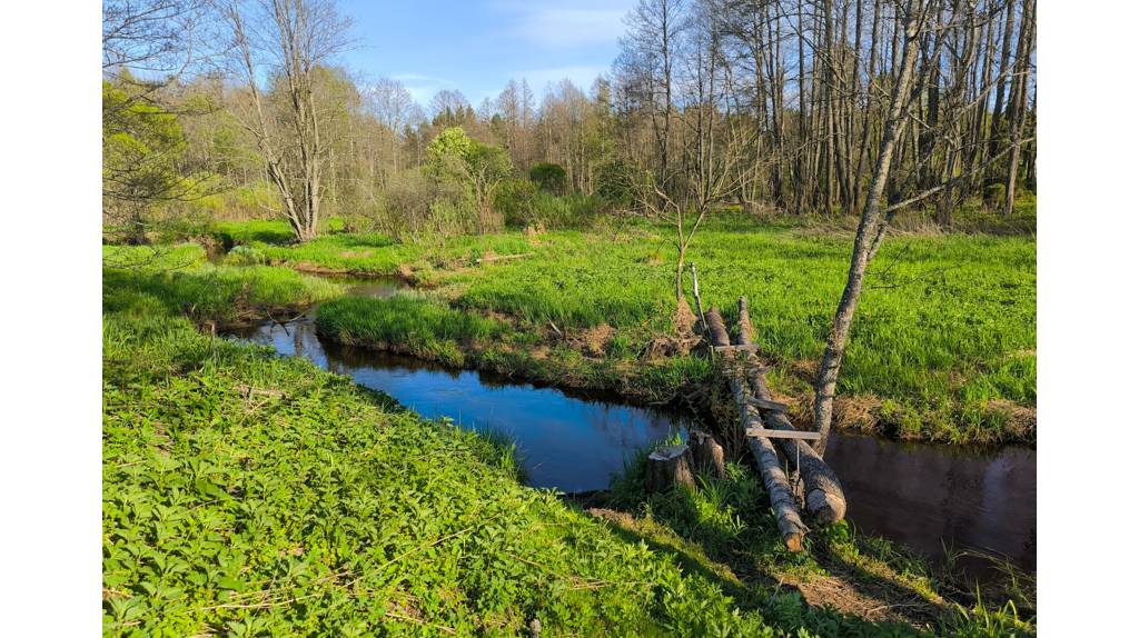  Опубликованы снимки реки Теребка в Брянской области в конце апреля