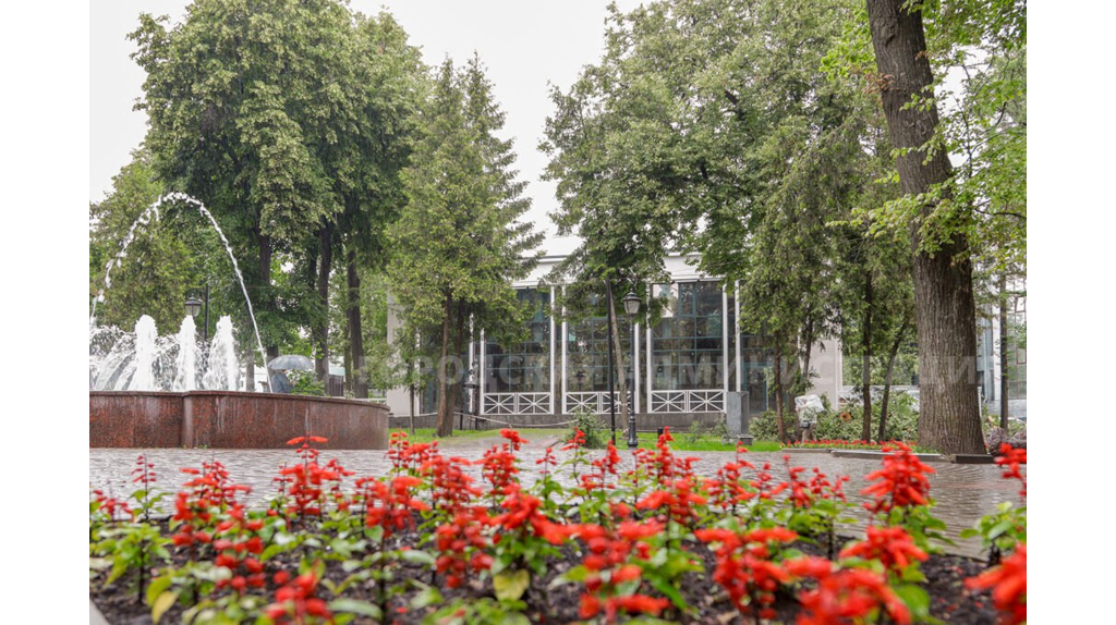 Рубка лип в сквере Карла Маркса в Брянске вновь взбудоражила экоактивистов
