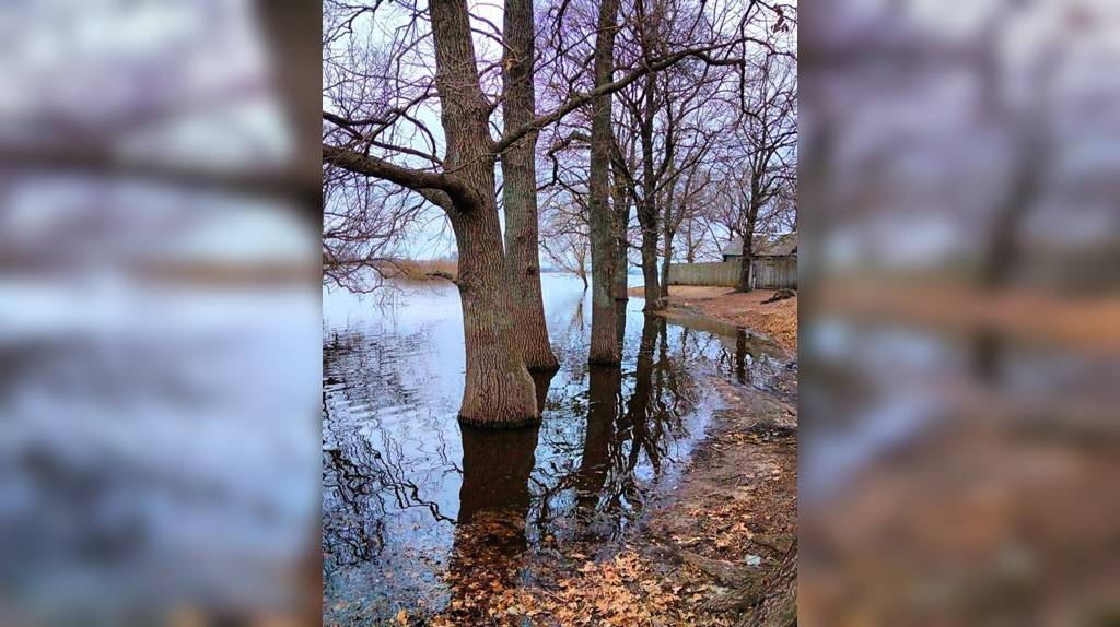 В Белой Берёзке вода подошла к домам